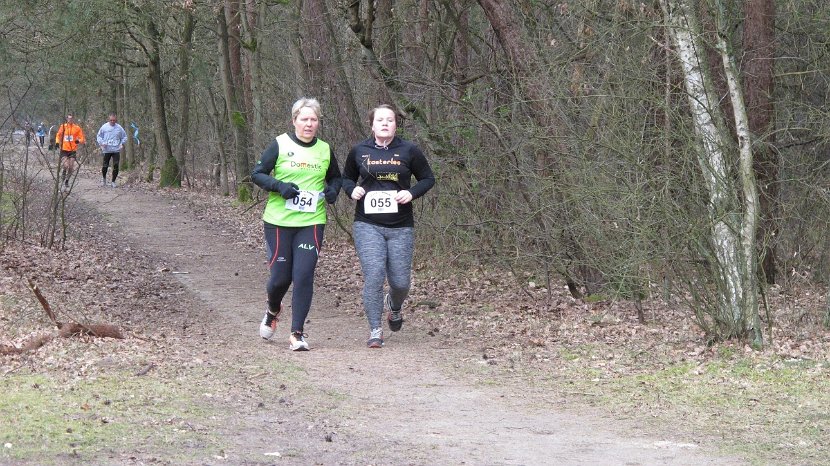 Bosloop Brecht - 59